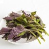 （A区）有机紫苏 Shiso verde 100g