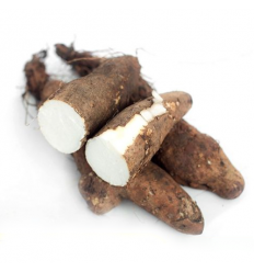（易断品）温州糯米山药 Fresh Yam 约0.9~1.1kg