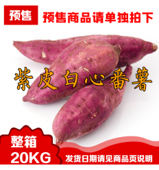 (预订商品，发货日期请咨询客服) ( 整箱*紫皮白心番薯 20Kg Sweet Potato