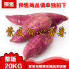 (10月25日发货) 整箱*紫皮白芯番薯 20Kg Sweet Potato