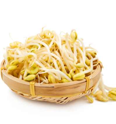 黄豆芽 Soybean Sprout 500g