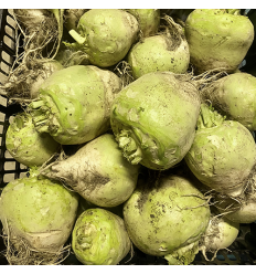 (A+B) 有机大头菜（腌菜必备） Green Radish 约0.9-1.1Kg