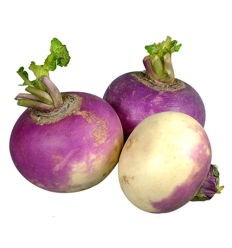 紫皮白心萝卜 radish 约600-800g