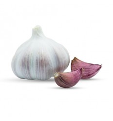 网袋紫皮大蒜 250g Garlic
