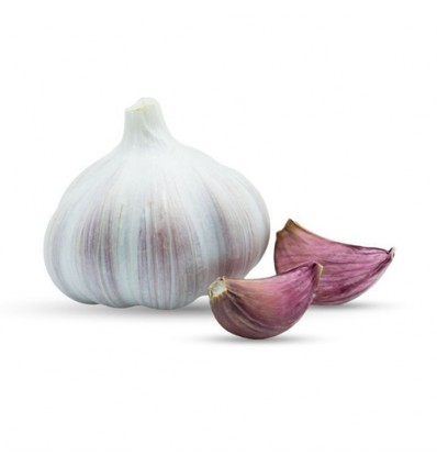 西班牙紫皮大蒜 Garlic 约250g