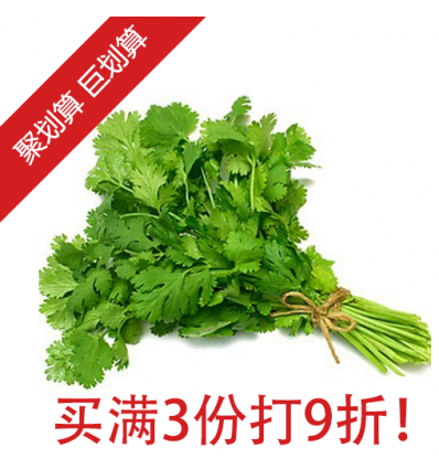 香菜