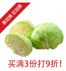 中国球菜/包菜 Chinese Cabbage 按个销售