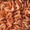 (仅限配送和自提) 大包装！ 冰冻委内瑞拉熟虾 1Kg Frozen shrimps