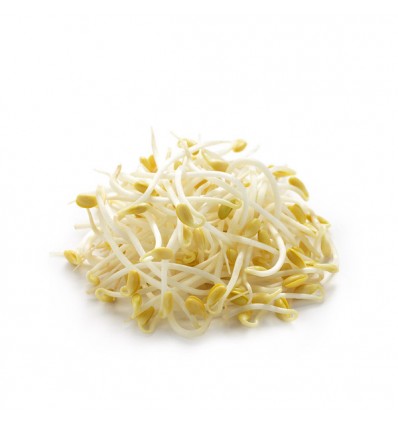 (A+B) 法国产黄豆芽 500g Soybean Sprout