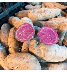 菜园有机紫心番薯 Sweet Potato （purple）约0.9-1.1kg