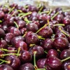 (只发特快和自配送）空运智利/阿根廷 深红蜜糖 樱桃/车厘子 500g Lapins Cherry