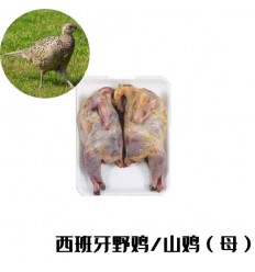 （U类只发特快和自配送）西班牙野鸡（母鸡） 1只 约500-600g yeji