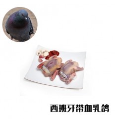 （U类只发特快和自配送）散养乳鸽（带血） 1只 约500-600g pichon