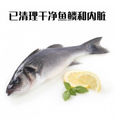 (冷链发货西葡法）大海鲈鱼处理前0.8-1Kg （已去麟去内脏）luyu