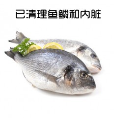 (只发UPS和自配送！）新鲜海鲷鱼 1条 约300-500g Haidiao