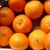 本地柑桔 tangerine 约500g