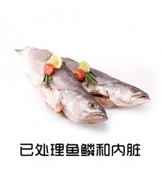 (U类只发特快和自配送）鲜冻野生大西洋白姑鱼（已去麟去内脏） 300-350g corvia