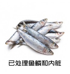 (U类只发特快或自配送）鲜冻野生 地中海沙丁鱼（已去麟去内脏） 250-300g Sardines