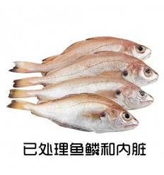 (U类只发特快和自配送）鲜冻野生地中海细臀鳕鱼（已去麟去内脏） 300-350g corvia