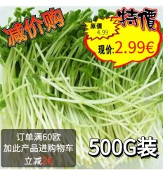 减价购！大包装！菜园幼嫩迷你豆苗 500g Mini Pea Sprout