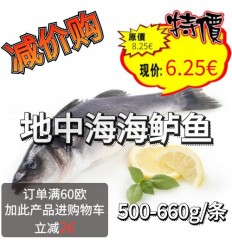 (U类只发特快或自配送）鲜冻地中海新鲜海鲈鱼 1条 约500-600g lubina