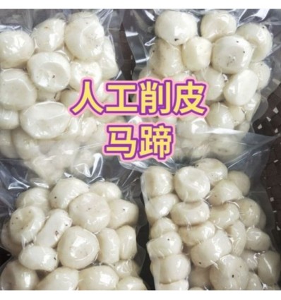 新鲜马蹄肉 Water Chestnut 500g