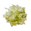 (U类) 手撕包菜 / 手撕扁包菜 300g col