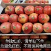 本地冰糖心爽脆甜红富士超大苹果 Fuji Apple 约 0.9~1.1Kg