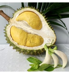 （团购预定）越南黑刺榴莲一个 预售4Kg（按实际发货重量结算退差价） Viernam Durian
