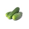 西班牙小黄瓜 约1Kg Spainsh mini cucumber