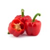 红色灯笼椒/甜椒/菜椒 约500g Red Pepper