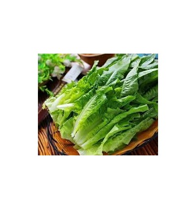 预清理预摘有机种植油麦菜 约250g Lettuce