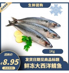 (U类只发特快及自配送）鲜冻地中海新鲜海鲈鱼 1条 约400-500g lubina