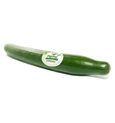 荷兰黄瓜 1条 Spanish Cucumber