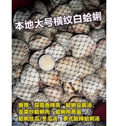 (冷链发货西葡法) 本地新鲜野生横纹白蛤蜊 2kg Almeja