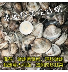 (仅发西葡法冷链) 本地新鲜野生大号 花蛤蜊 / 日本蛤蜊 1kg Almeja Japónica